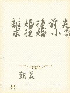 离婚后前夫哭着求复婚 小说阅读