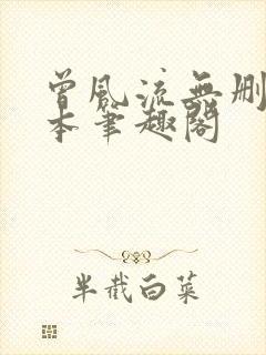 曾风流无删减全本笔趣阁