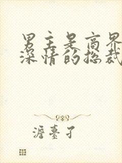 男主是商界大佬深情的总裁文