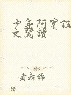 少年阿宾钰慧全文阅读