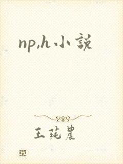 np,h小说