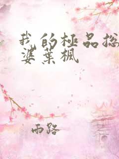 我的极品总裁老婆叶枫