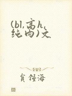 (bl,高h,纯肉)文
