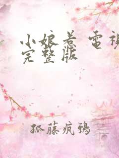 小娘惹 电视剧完整版