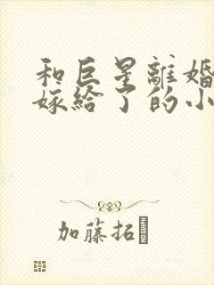 和巨星离婚后我嫁给了的小说