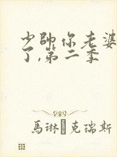 少帅你老婆又跑了,第二季