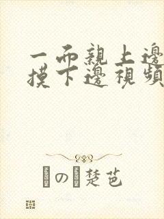 一面亲上边一边摸下边视频