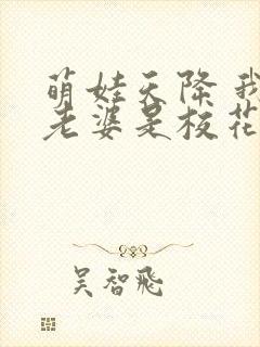 萌娃天降 我的老婆是校花