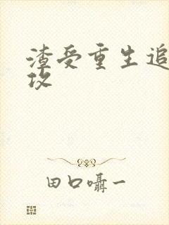 渣受重生追男神攻