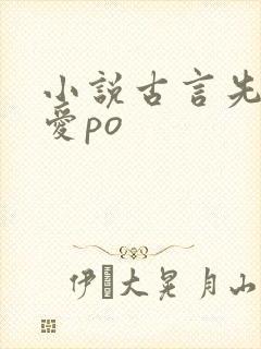 小说古言先婚后爱po