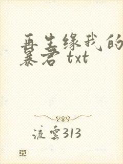 再生缘我的温柔暴君 txt