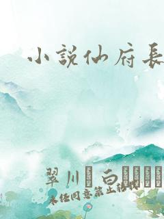 小说仙府长生