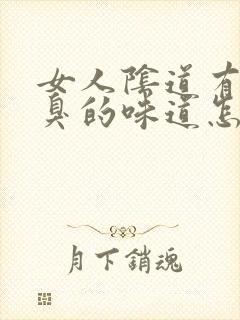 女人阴道有点臭臭的味道怎么回事