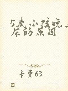 5岁小孩晚上尿床的原因