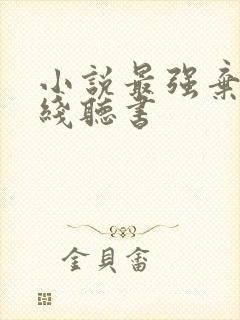 小说最强弃少在线听书