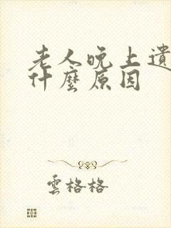 老人晚上遗尿是什么原因