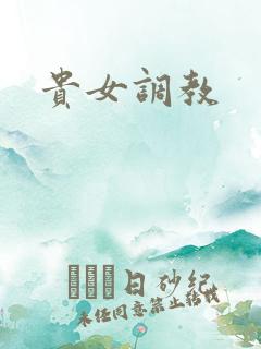 贵女调教