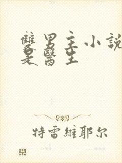 双男主小说男主是医生