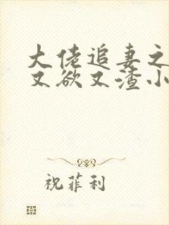 大佬追妻之夫人又欲又渣小说完整版