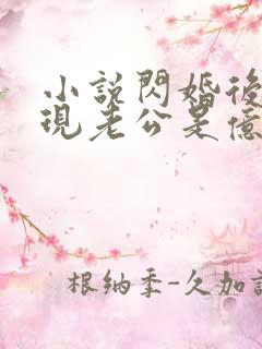 小说闪婚后,发现老公是亿万总裁免费阅读