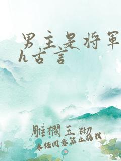 男主是将军的高h古言