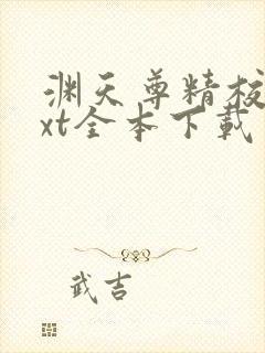 渊天尊精校版txt全本下载