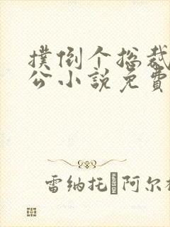 扑倒个总裁做老公小说免费阅读