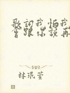 歌词我怕我没机会跟你说再见求歌名