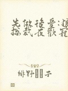 先做后爱:狼性总裁夜欢宠