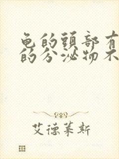 龟的头部有白色的分泌物不痛不痒