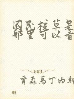 国民校草是女生那里可以看