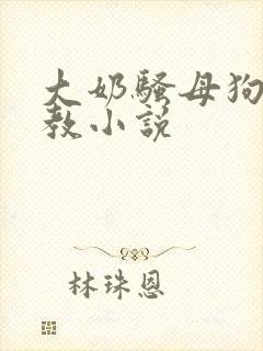 大奶骚母狗被调教小说