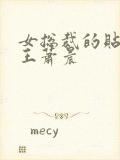 女总裁的贴身兵王萧晨