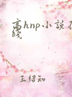 高hnp小说在线