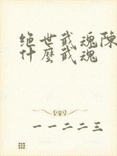 绝世武魂陈枫是什么武魂