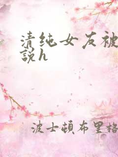 清纯女友被c小说h