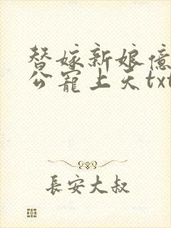 替嫁新娘亿万老公宠上天txt全文下载