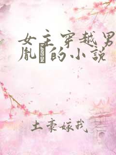 女主穿越男主是胤礽的小说