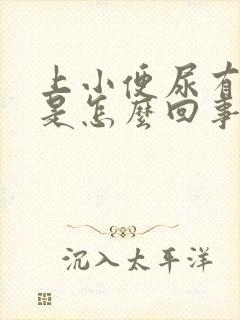 上小便尿有味道是怎么回事