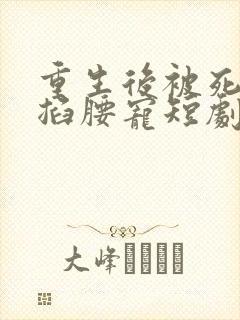 重生后被死对头掐腰宠短剧