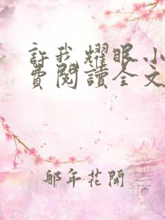 许我耀眼小说免费阅读全文最新章节