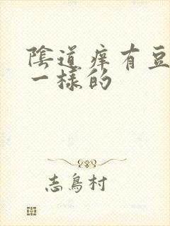 阴道痒有豆腐渣一样的