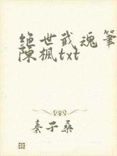 绝世武魂笔趣阁陈枫txt