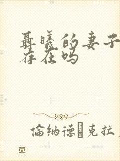 聂曦的妻子真实存在吗