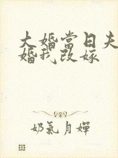 大婚当日夫君逃婚我改嫁