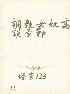 调教女奴高h小说章节