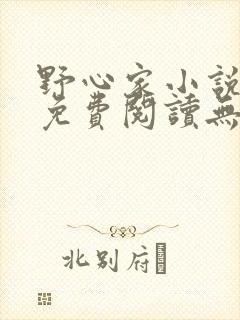 野心家小说全文免费阅读无弹窗