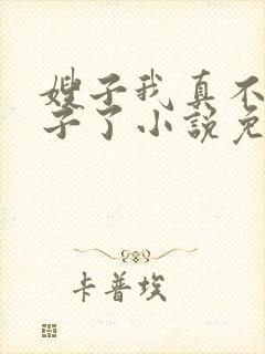 嫂子我真不是傻子了小说免费阅读