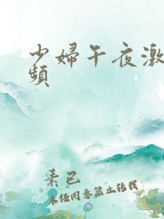 少妇午夜激情视频