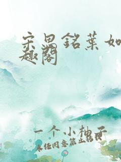 宋思铭叶如云笔趣阁